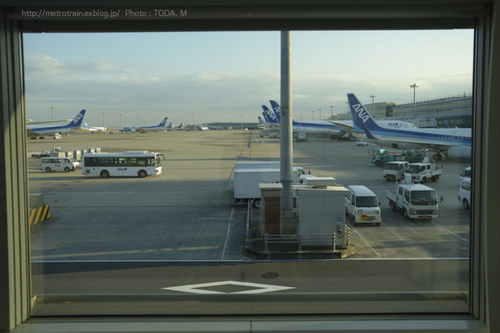 b0102780_612074.jpg