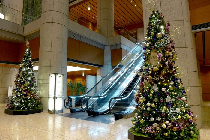 a0127090_9113143.jpg