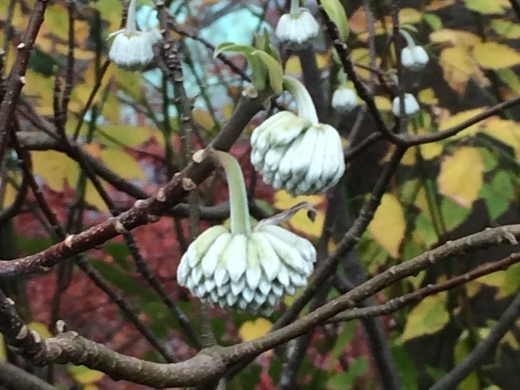 f0201297_09314865.jpg