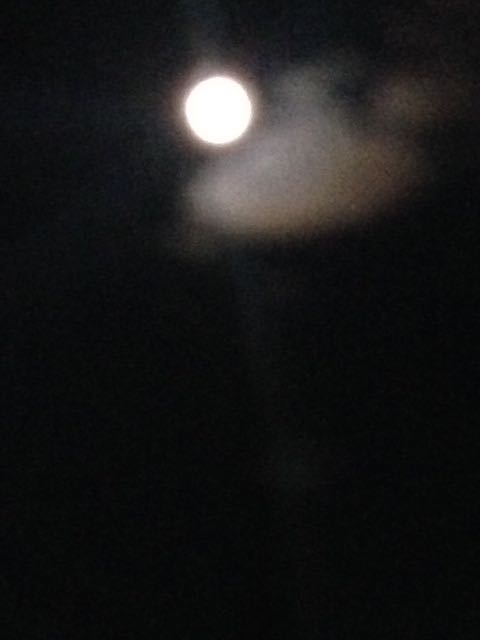 f0277298_01366.jpg