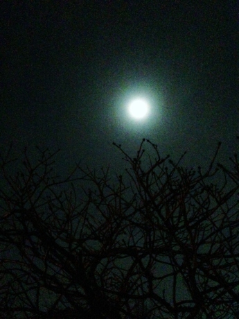 f0250403_12181000.jpg