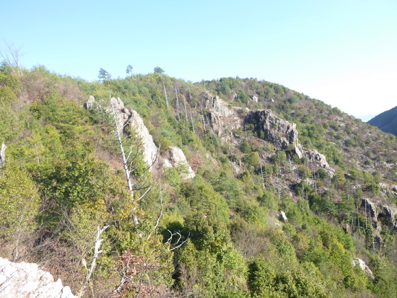 d0170615_1905527.jpg