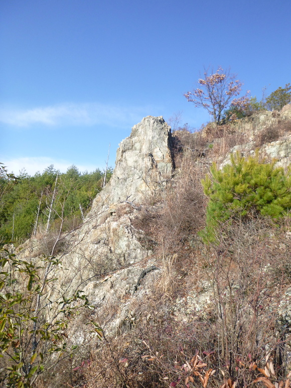 d0170615_1914949.jpg