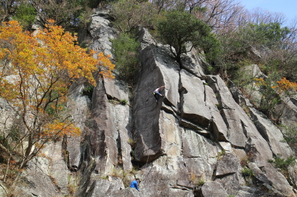 c0210618_20100918.jpg
