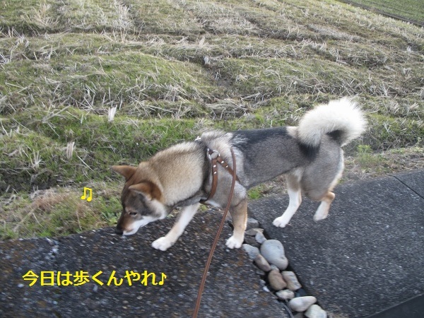 f0143123_20394534.jpg