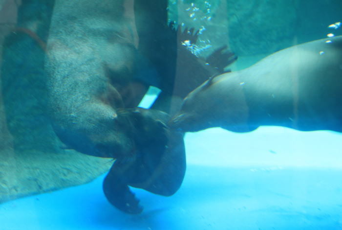 c0355331_15043987.jpg