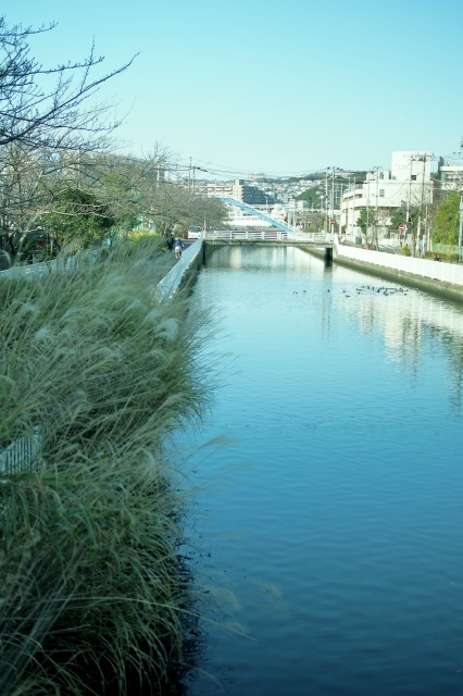 a0318033_09520427.jpg