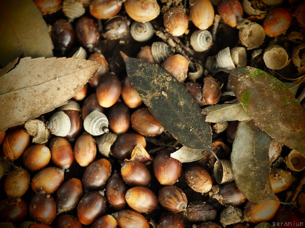 c0133533_227561.jpg