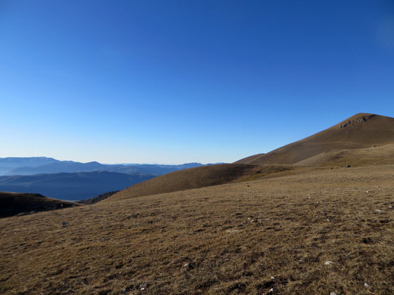 f0234936_7525052.jpg