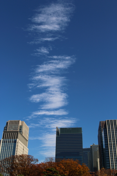 d0152261_1355162.jpg
