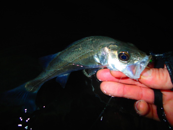 c0197578_12531445.jpg