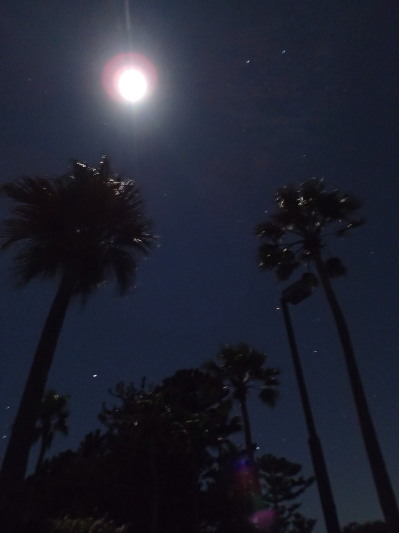 c0197578_13405416.jpg
