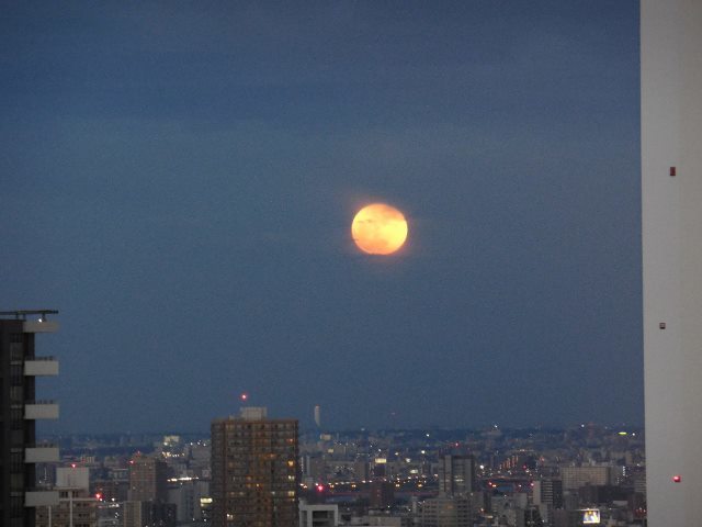 d0024504_23584437.jpg