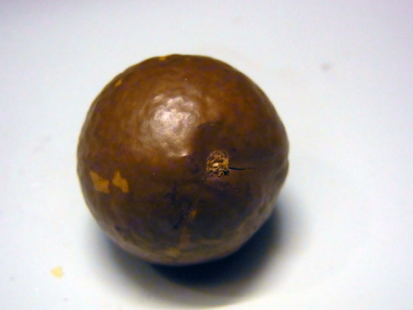 e0083517_10330404.jpg