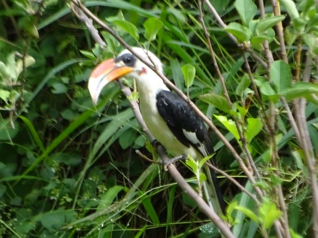 f0096017_2011127.jpg