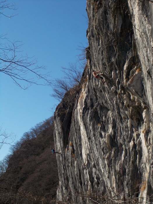 b0037220_23525429.jpg