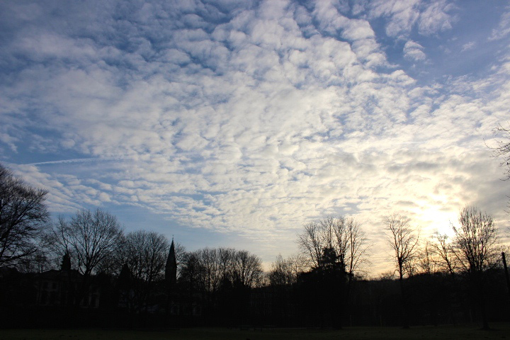 c0153740_1615653.jpg