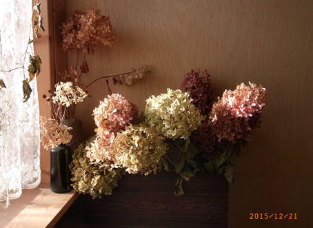 b0075364_22524939.jpg