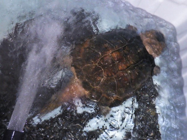 c0105569_0513266.jpg