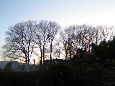 c0112172_23305044.jpg