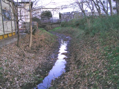 c0112172_2331893.jpg