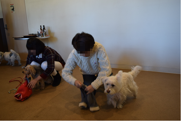 b0242873_12424044.png