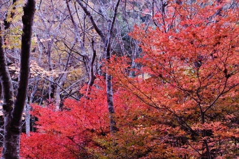 b0329186_08385331.jpg