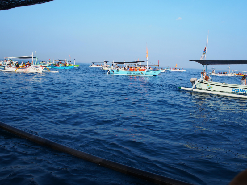 b0161391_1241139.jpg