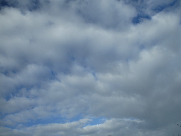 d0333091_18274875.jpg