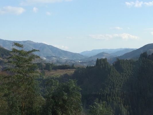 d0055395_1649692.jpg