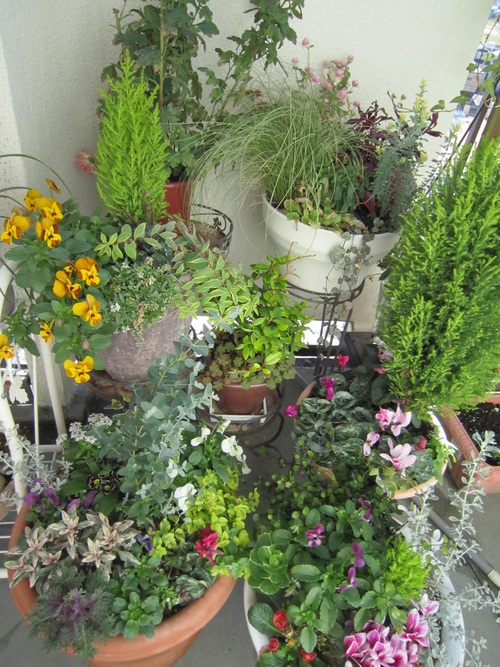 f0204295_16511688.jpg