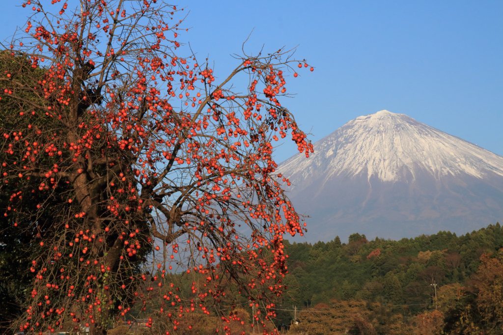 a0188405_15194379.jpg
