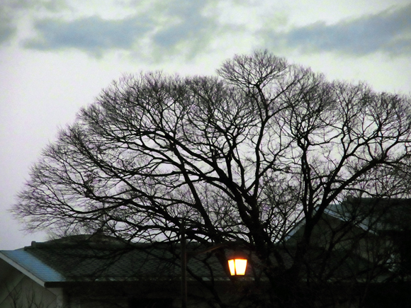 e0083517_00161719.jpg