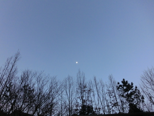 e0179321_18582641.jpg