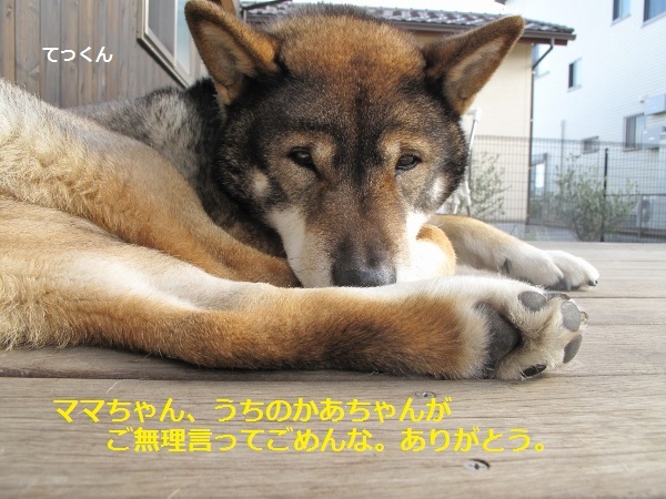 f0143123_12112035.jpg