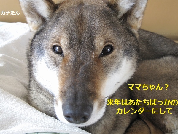 f0143123_12114242.jpg