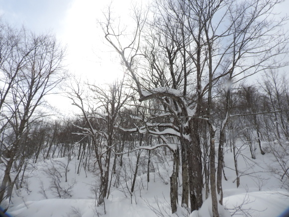 f0118332_23112298.jpg