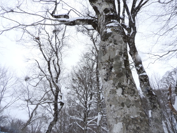f0118332_23114556.jpg