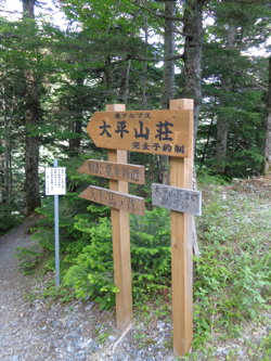 f0060535_1104124.jpg