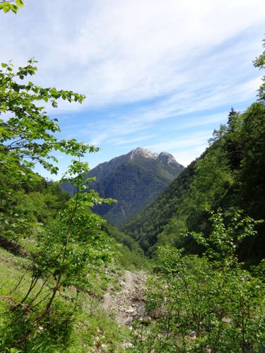 f0060535_124337.jpg