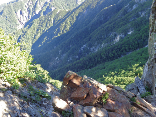 f0060535_23414431.jpg