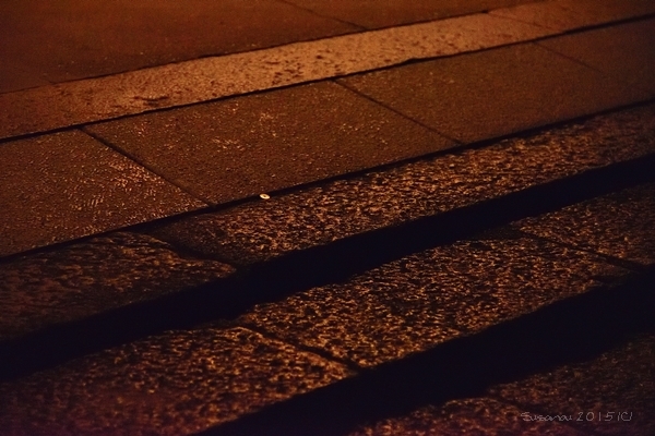 a0212036_16100879.jpg