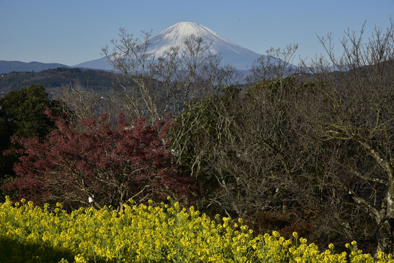 b0042837_5123062.jpg