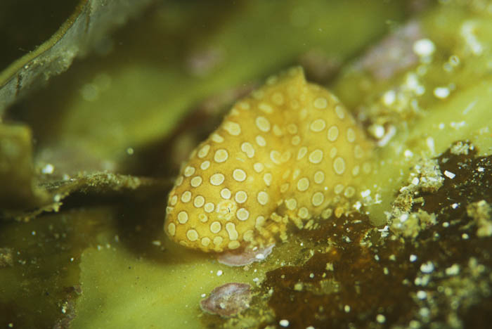 b0042837_520451.jpg