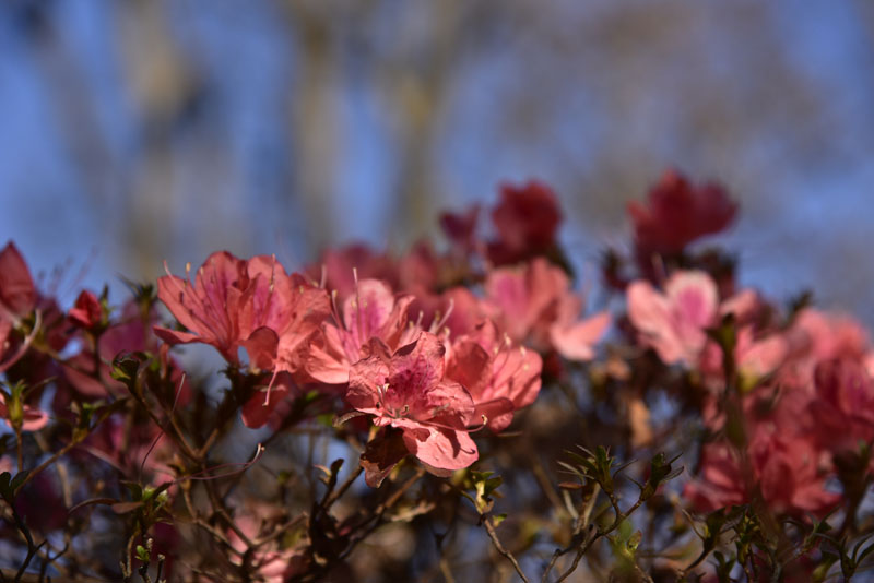 b0042837_582490.jpg