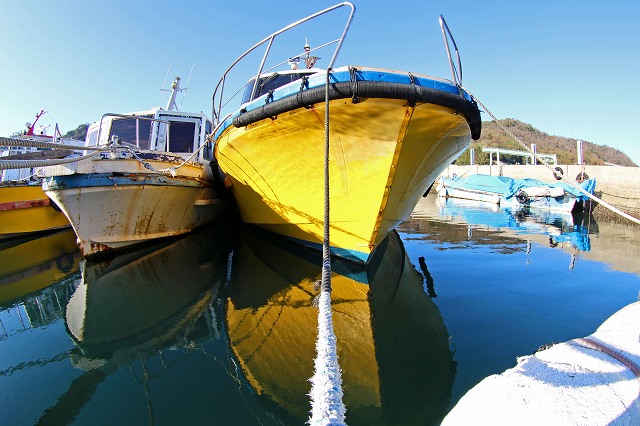a0242438_18135156.jpg