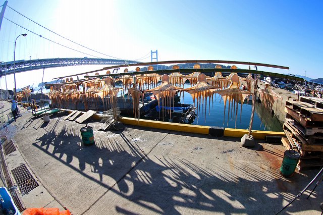 a0242438_18153185.jpg