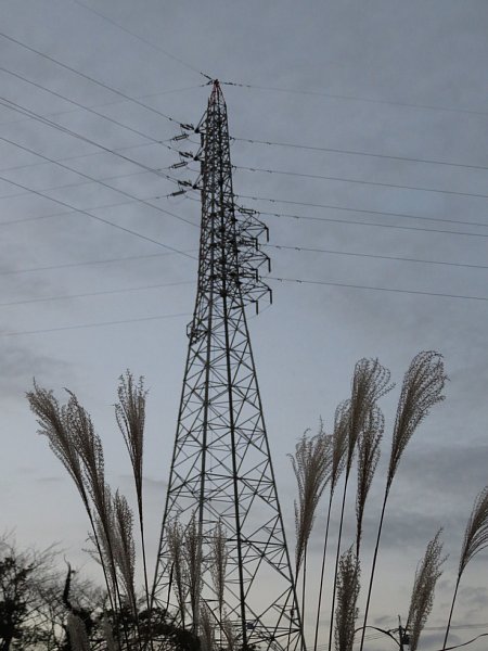 b0341140_17371153.jpg