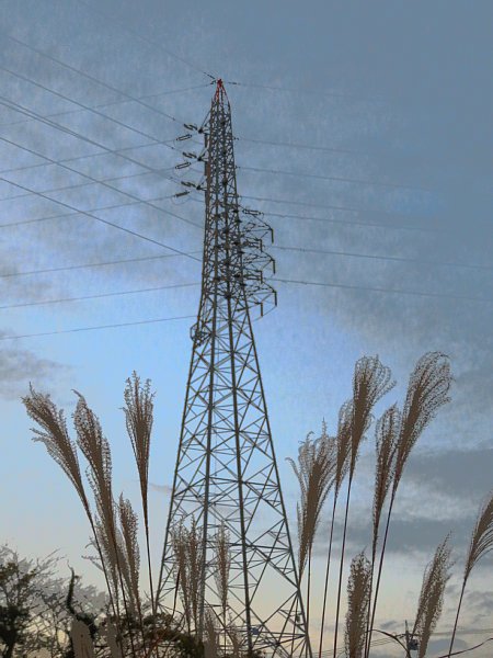 b0341140_17372357.jpg