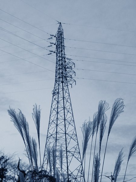 b0341140_17373547.jpg